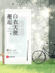 �۴����������ֱ���ʼȫ������Ķ�