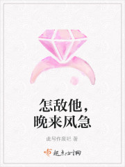 宣布封心锁爱后,我遇上了心动对象苏白粥洛野全文免费阅读